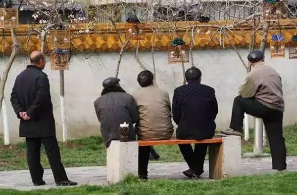 什么是文玩多少人能讲明白,什么是文玩境界