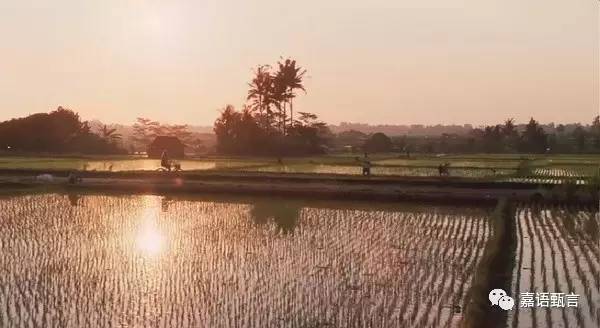 春节巴厘岛豪华游,巴厘岛旅游攻略住宿推荐