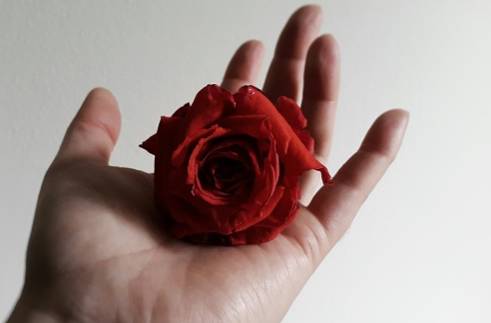 这一次，我们想要认真地谈谈“他”