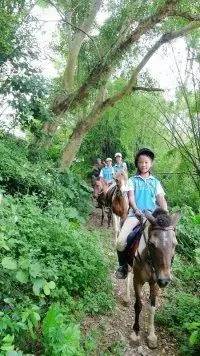 南宁旅游景点吃喝玩乐,南宁旅游游山玩水景点推荐