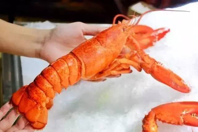 「订年夜饭赠波士顿龙虾」2017这么吃年夜饭最霸气!从没想过一顿自助,竟然吃几口就回本了……谁也别拦着我!今年就要在这儿吃!