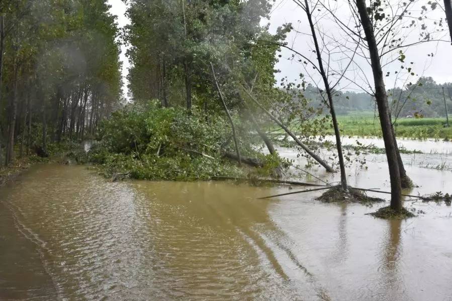 见义勇为的英雄故事简短事迹,历史上见义勇为故事