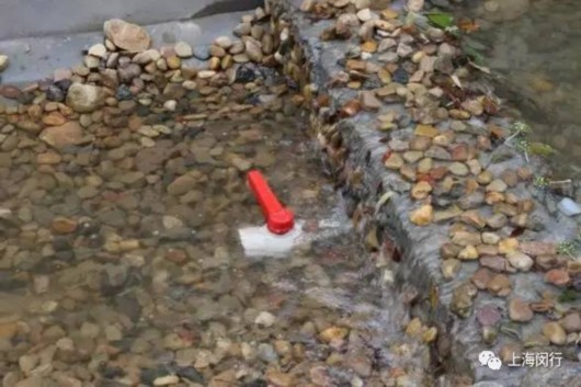 闵行区美丽的家园,闵行美丽家园