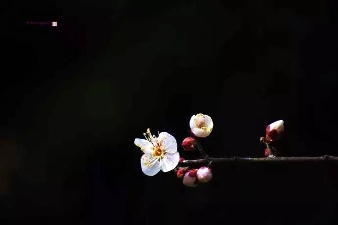 无锡旅游到底好不好玩,无锡旅游值得去吗