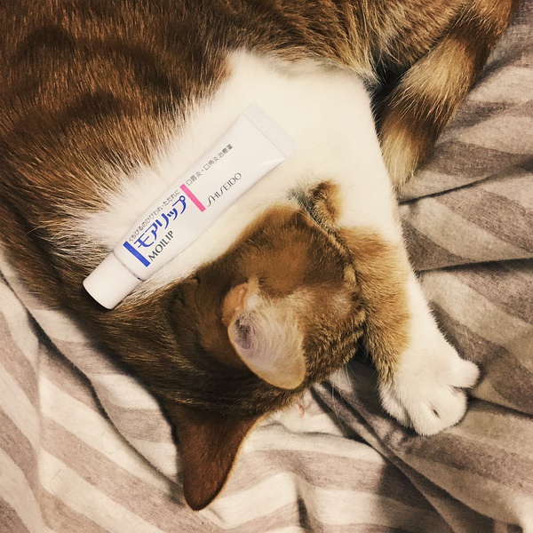 豆瓣日记价值,豆瓣日记内容