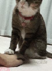 小编到了达沃斯，发现原来在瑞士可以买到这么多有创意的礼物丨文末有福利