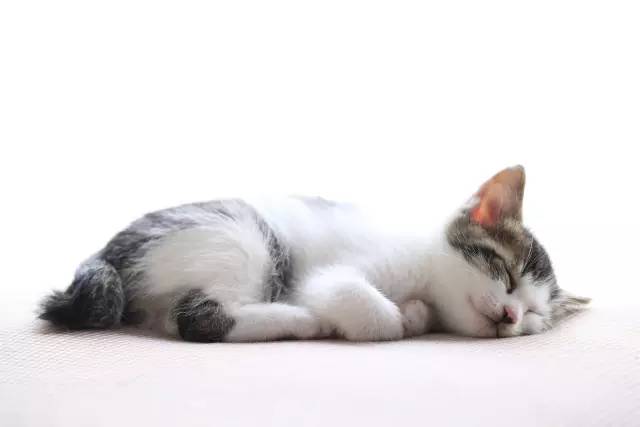 睡不着有没有更好的药,睡不着该买什么安眠药