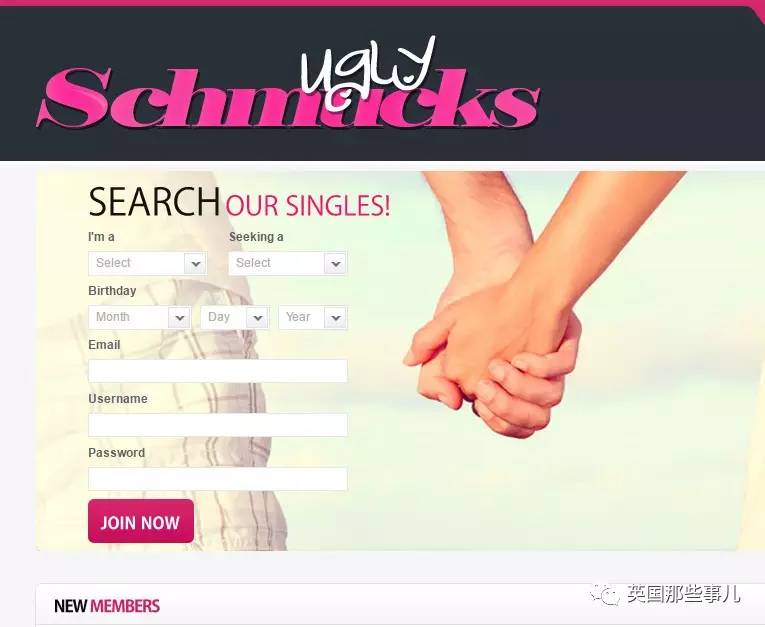 美国婚恋相亲网站,美国的婚恋交友网站