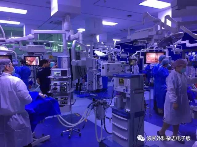 求技于workshop，问道于亚洲厅堂——亚洲泌尿外科培训教育集团（AUSTEG）上尿路腹腔镜外科培训班侧记之求技篇