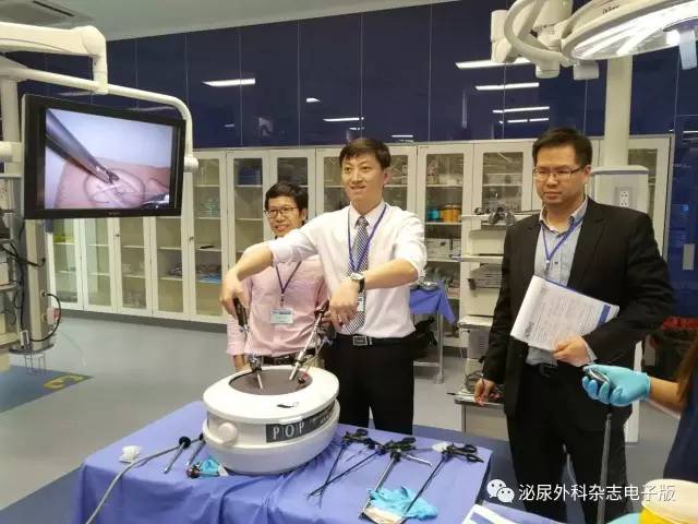 求技于workshop，问道于亚洲厅堂——亚洲泌尿外科培训教育集团（AUSTEG）上尿路腹腔镜外科培训班侧记之求技篇