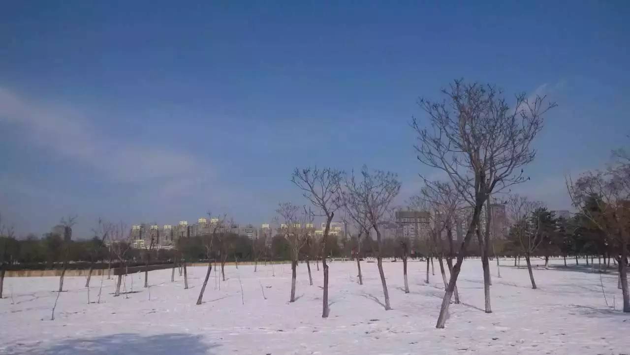 我最喜欢的一本书全篇,2020年我最喜爱的一本书