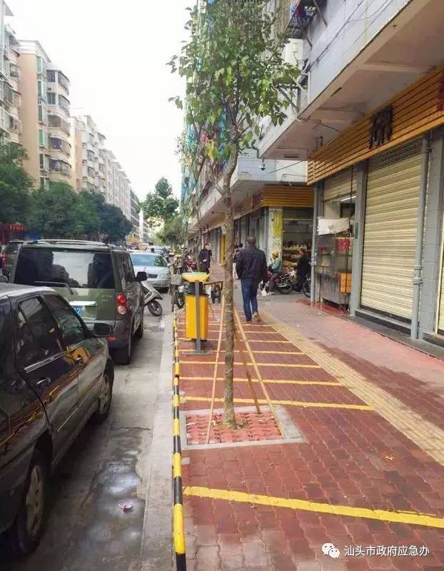 出行提醒丨龙溪路喜焕新颜迎新春；红领巾路部分路段试通车，节后改造将继续