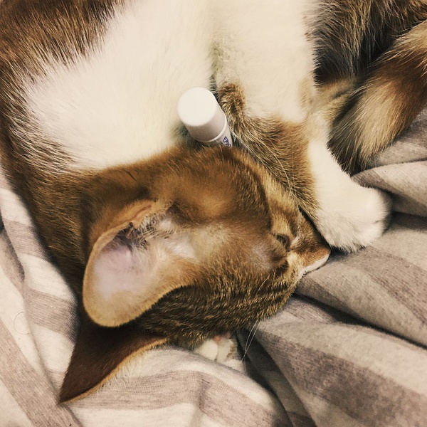 豆瓣日记价值,豆瓣日记内容