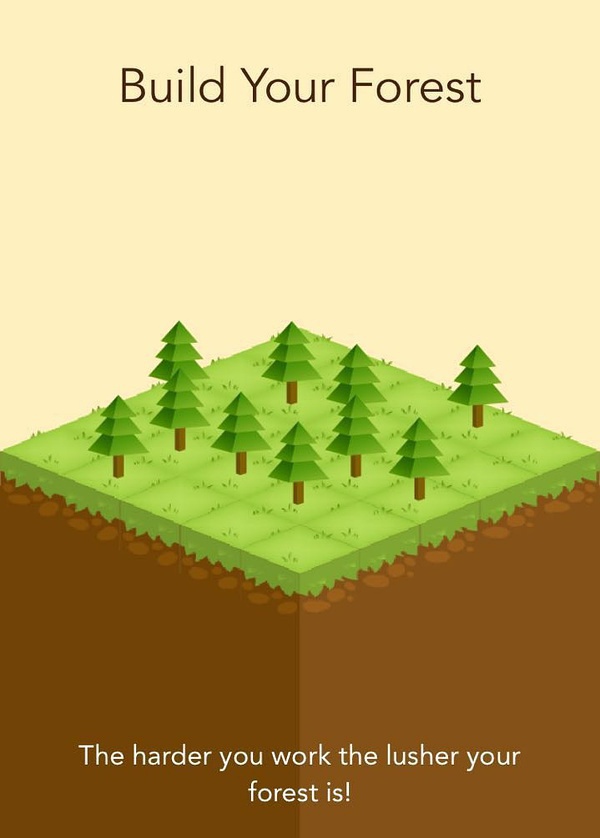 豆瓣日记价值,豆瓣日记内容