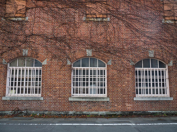 奥巴pen机身防抖,奥巴12-100镜头评测