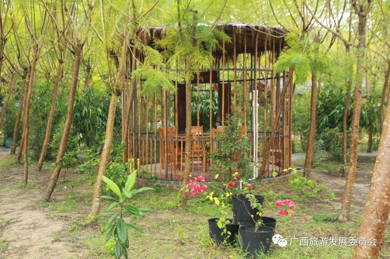 温暖人心的中国故事,感人的中国小故事