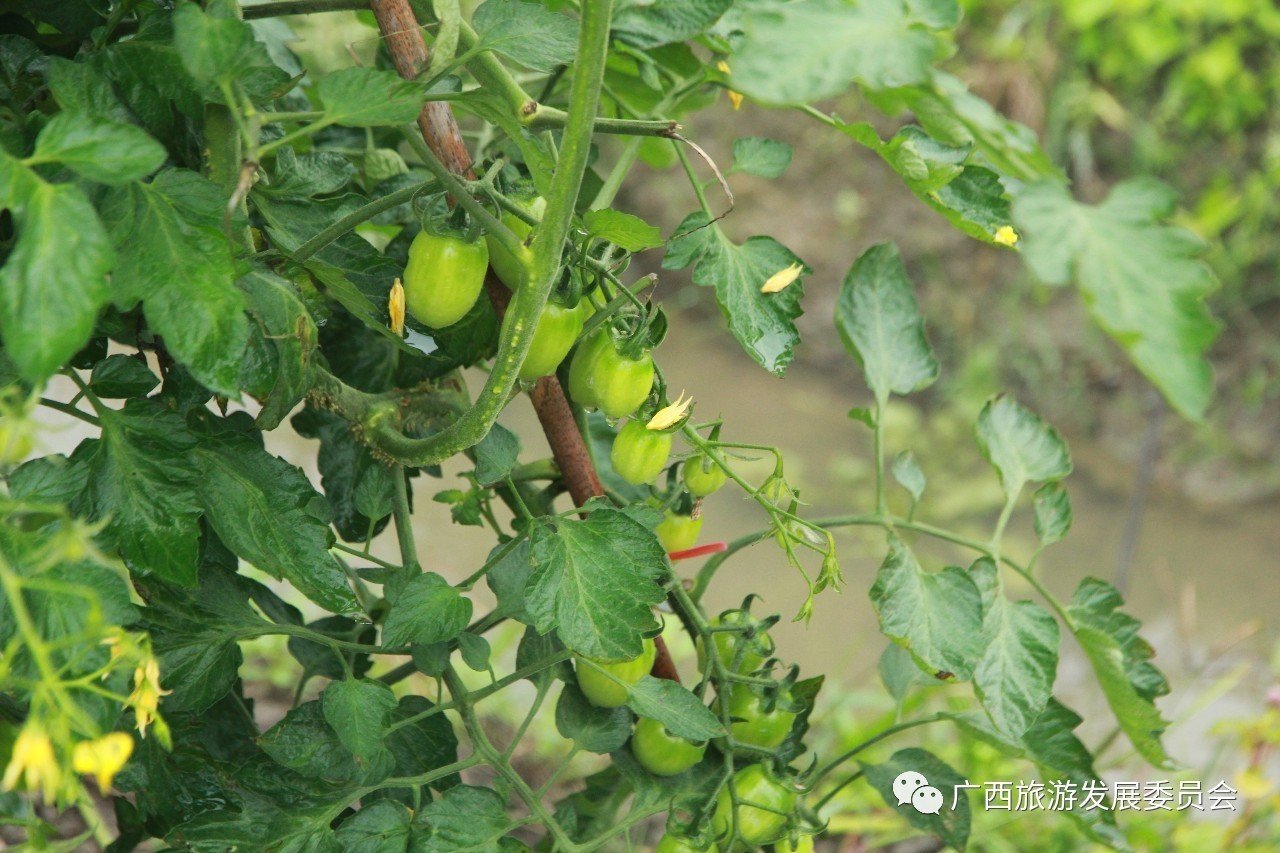 温暖人心的中国故事,感人的中国小故事