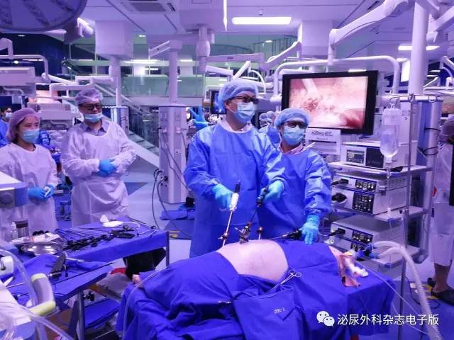 求技于workshop，问道于亚洲厅堂——亚洲泌尿外科培训教育集团（AUSTEG）上尿路腹腔镜外科培训班侧记之求技篇