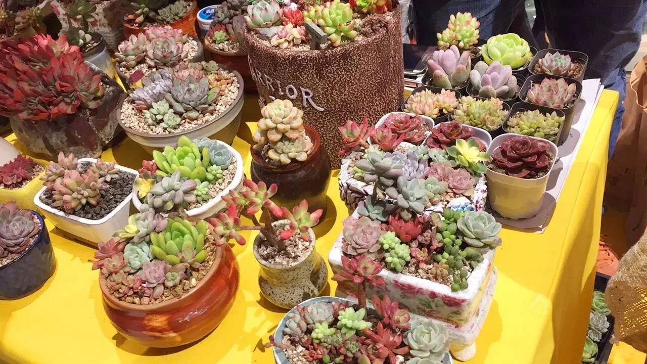 苏州金鹰国际购物中心高新店建设,苏州金鹰现在开门了吗