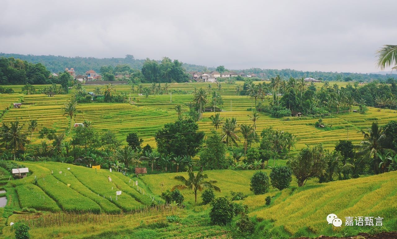 春节巴厘岛豪华游,巴厘岛旅游攻略住宿推荐