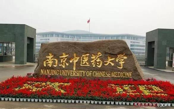 浙大如何进去,怎么才能进浙大