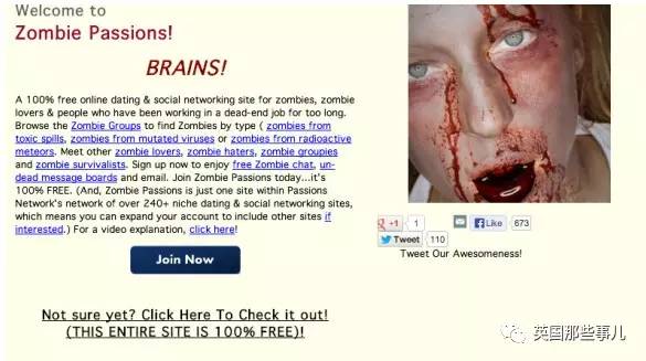 美国婚恋相亲网站,美国的婚恋交友网站