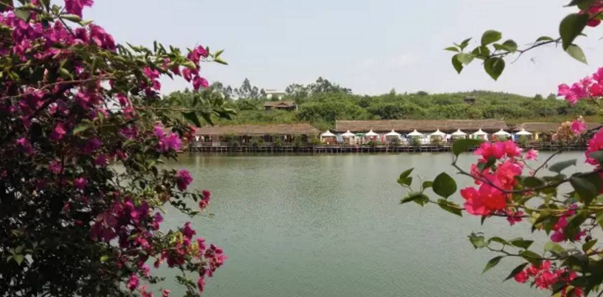 南宁周边农家乐景点推荐,南宁良庆区户外亲子农家乐