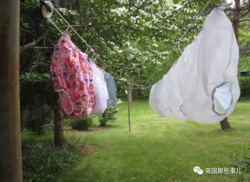 美国婚恋相亲网站,美国的婚恋交友网站