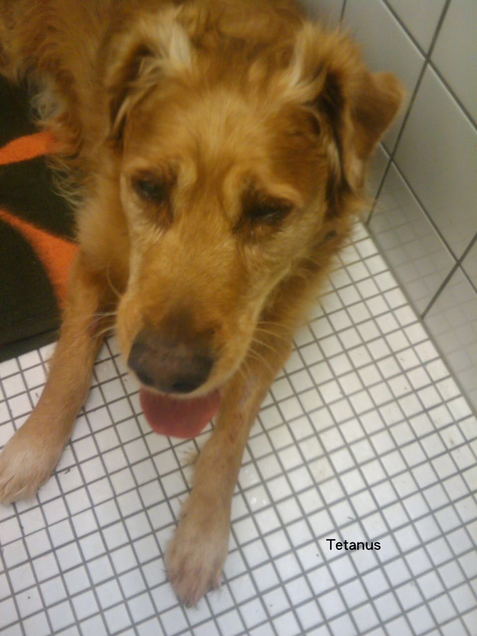 肉毒梭菌中毒报道,科普肉毒毒素