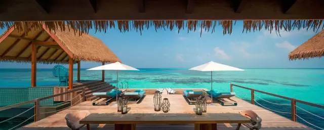 思聪和马代瑞吉,思聪马代瑞吉现状