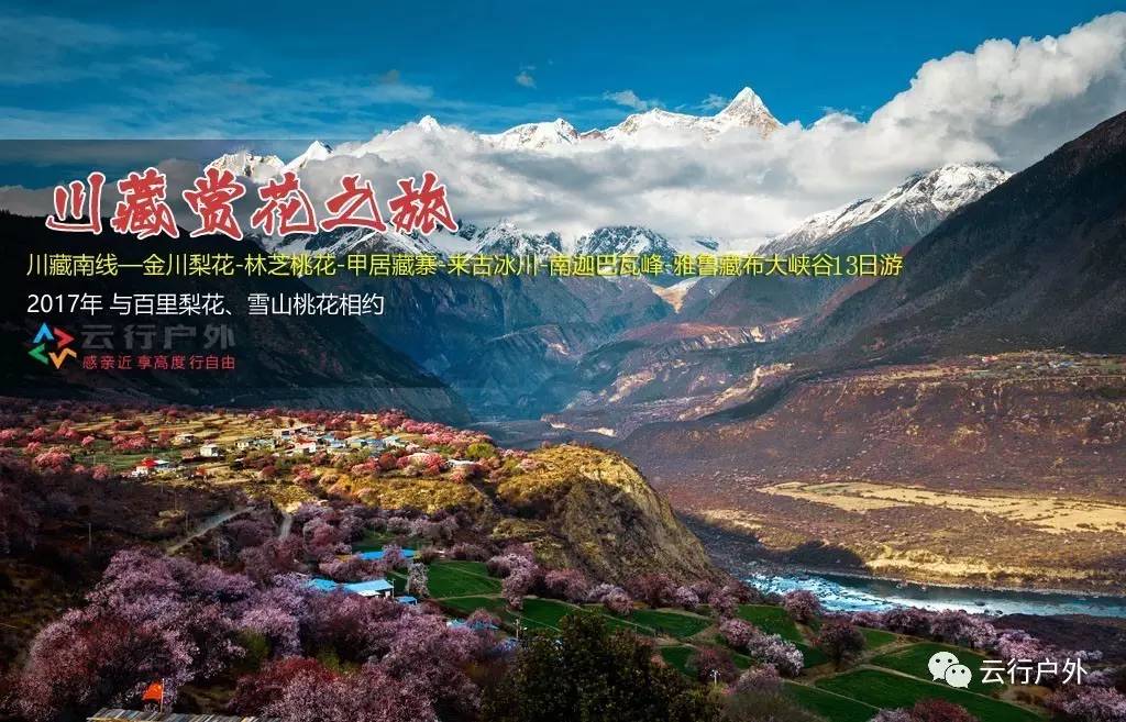 2019年成都自驾林芝看桃花,金川梨花赏花路线