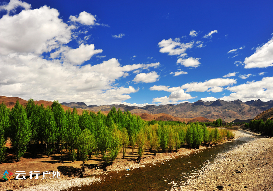 2019年成都自驾林芝看桃花,金川梨花赏花路线