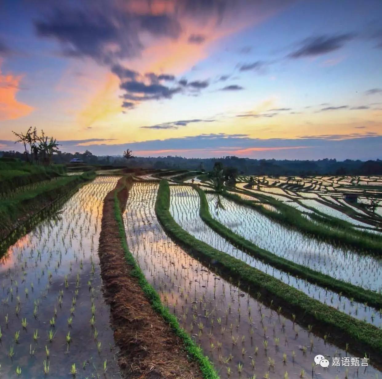 春节巴厘岛豪华游,巴厘岛旅游攻略住宿推荐