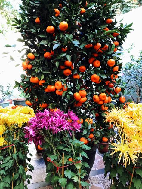 人越怕长大越怕过年,为什么你越长大越孤单