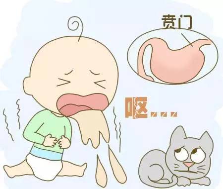 解酒秘籍大全教学,解酒小秘方让你酒后不那么难受