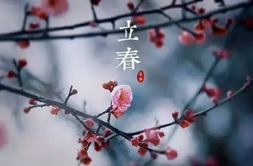 2月3日立春，百年一遇！可这只是神奇鸡年的开始……