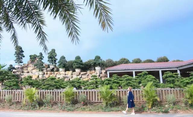 南宁周边农家乐景点推荐,南宁良庆区户外亲子农家乐