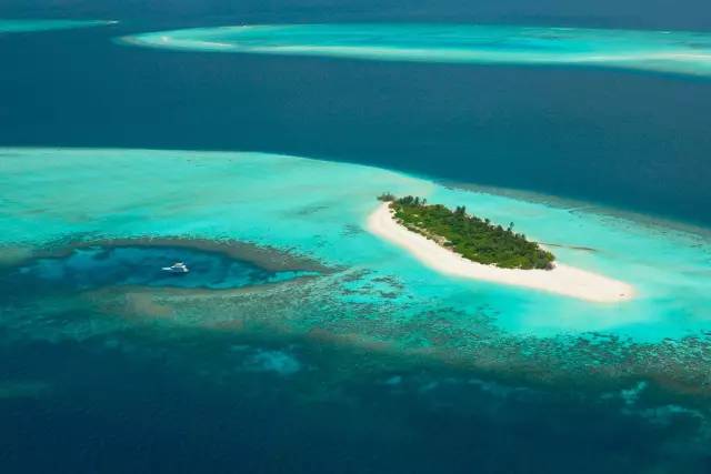 思聪和马代瑞吉,思聪马代瑞吉现状