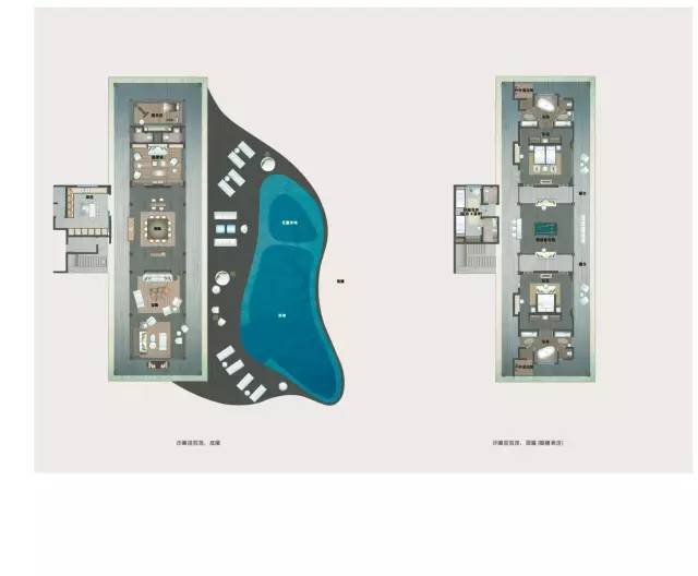 思聪和马代瑞吉,思聪马代瑞吉现状