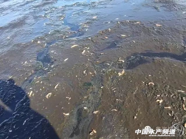 怎么降亚硝酸盐用物理方法,降亚硝酸盐的做法