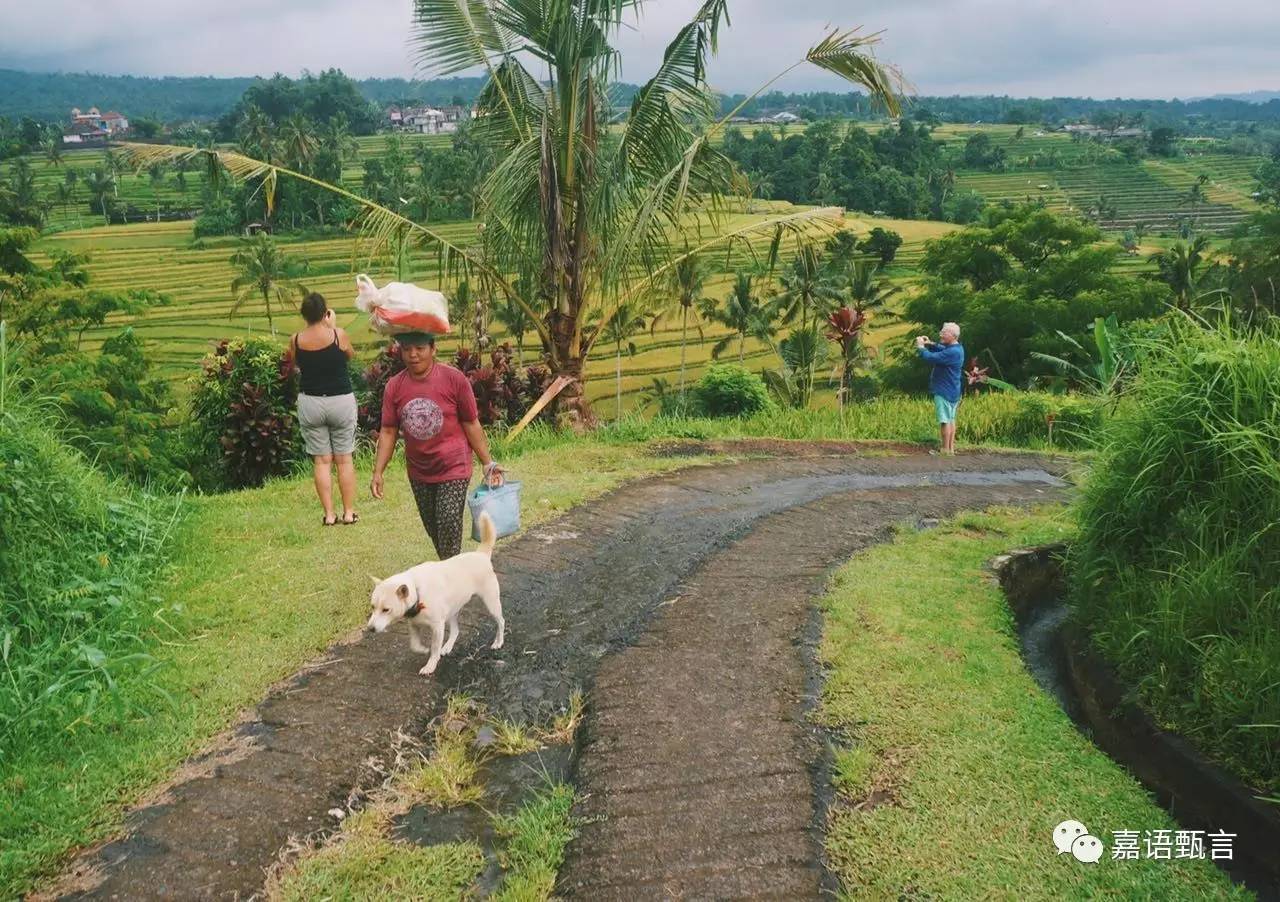 春节巴厘岛豪华游,巴厘岛旅游攻略住宿推荐