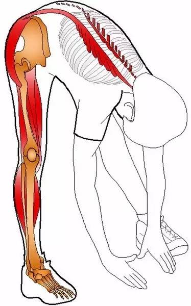 练蛤蟆功的原理,练蛤蟆功视频