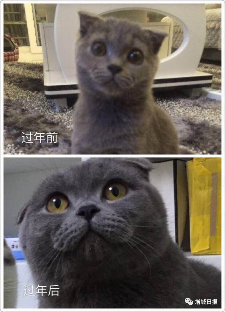 广州市增城区放假时间,广东增城放假