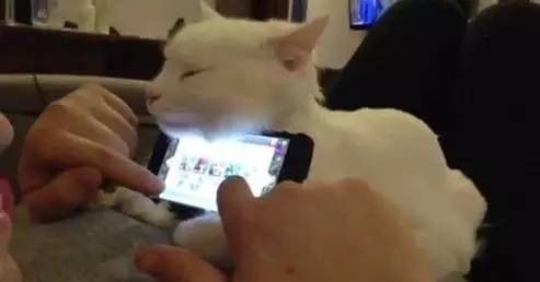 抢红包的秘诀需要点几下,抢红包效率最高的方法