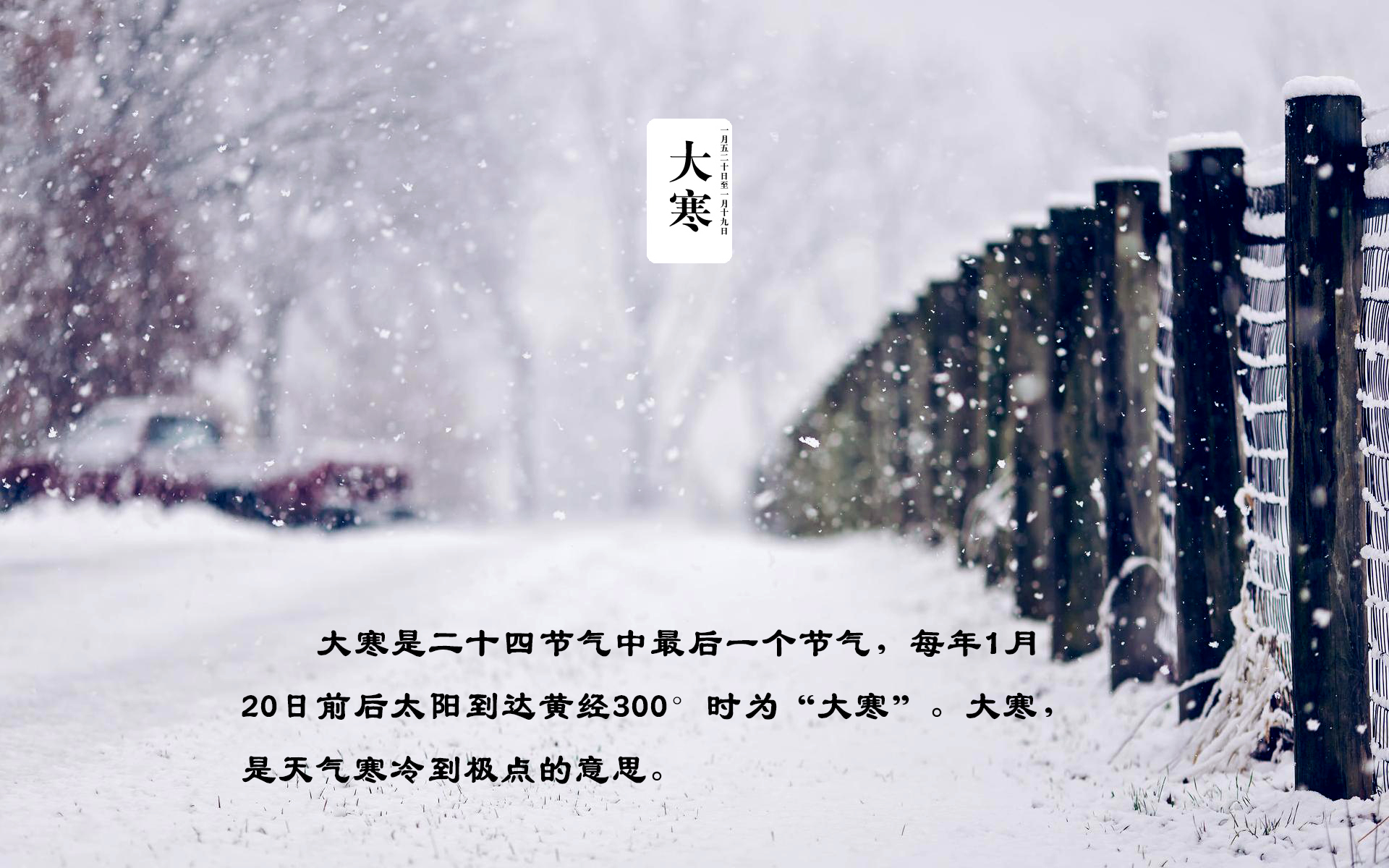 最冷的天气吃什么能驱寒,最冷的季节吃最冷的食物