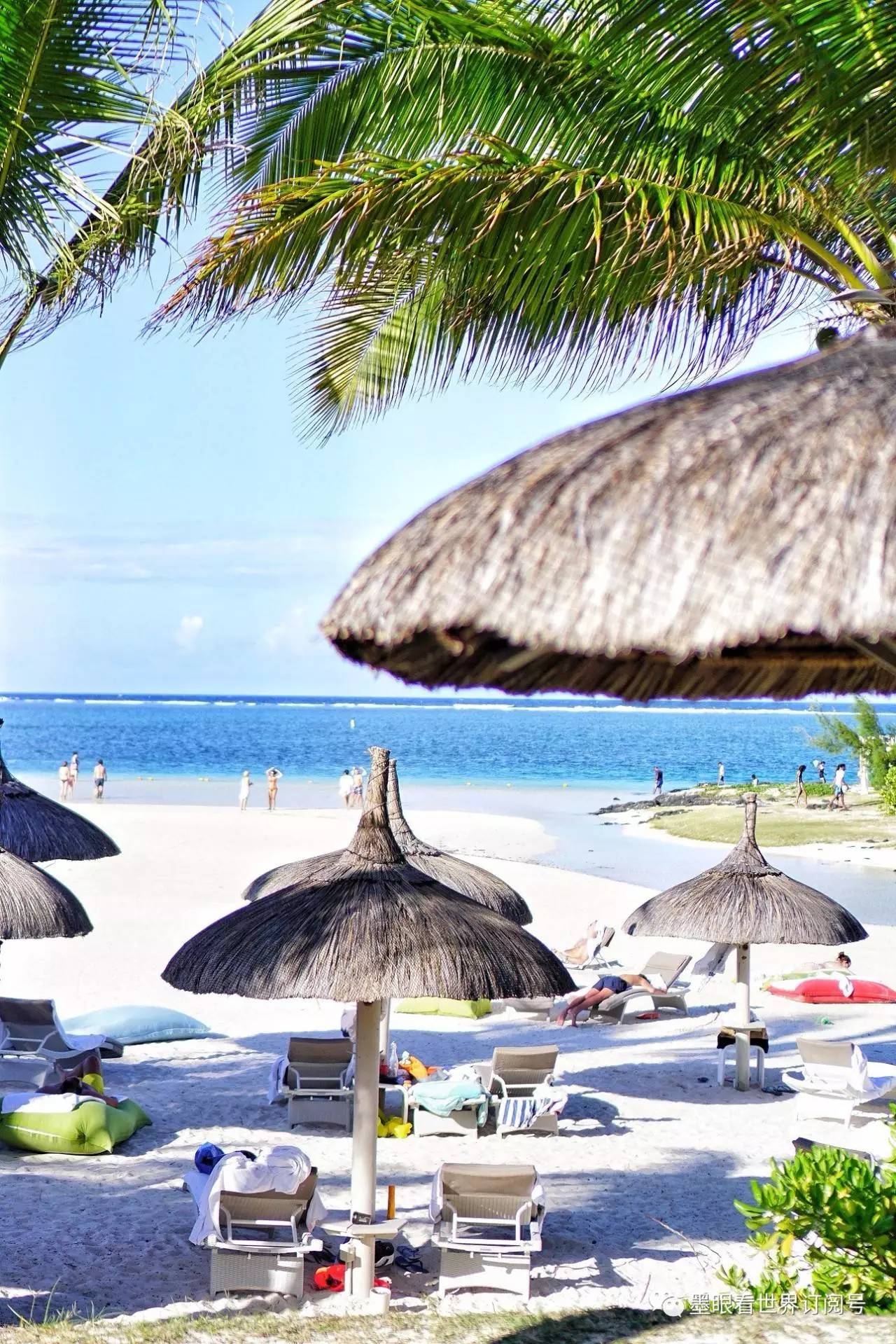 毛里求斯幸福的天堂完整版,天堂的故乡毛里求斯