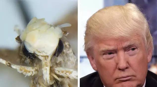 缇庡浗鎬荤粺鐧藉瀹濆骇,缇庡浗鍘嗕换鎬荤粺鍏ヤ富鐧藉