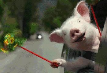 穿这件气哭情敌，乐坏爸妈