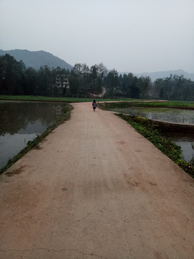 全国首届手机摄影大赛征稿,第二届全国手机摄影作品展