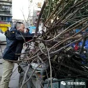 院长大搞翻新改造工程,院长翻天覆地的生活